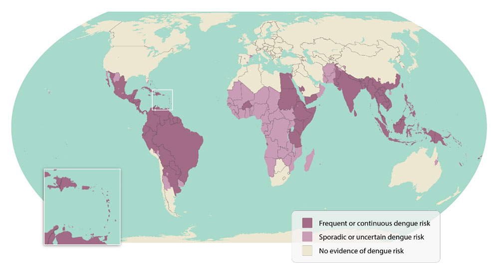 Seat Belt  Global Health NOW