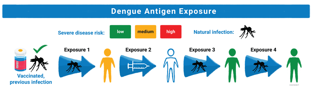 Dengue antigen exposure example for people who get vaccinated with Dengvaxia and have previously been infected with dengue.
