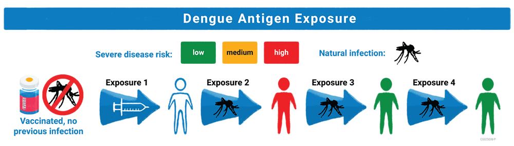 Dengue antigen exposure example for people who get vaccinated with Dengvaxia and have not previously been infected with dengue.