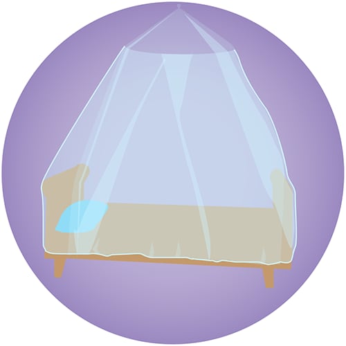 A bed covered with a mosquito net