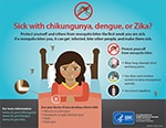 thumbnail of pdf: Sick with Chikungunya, Dengue, or Zika?