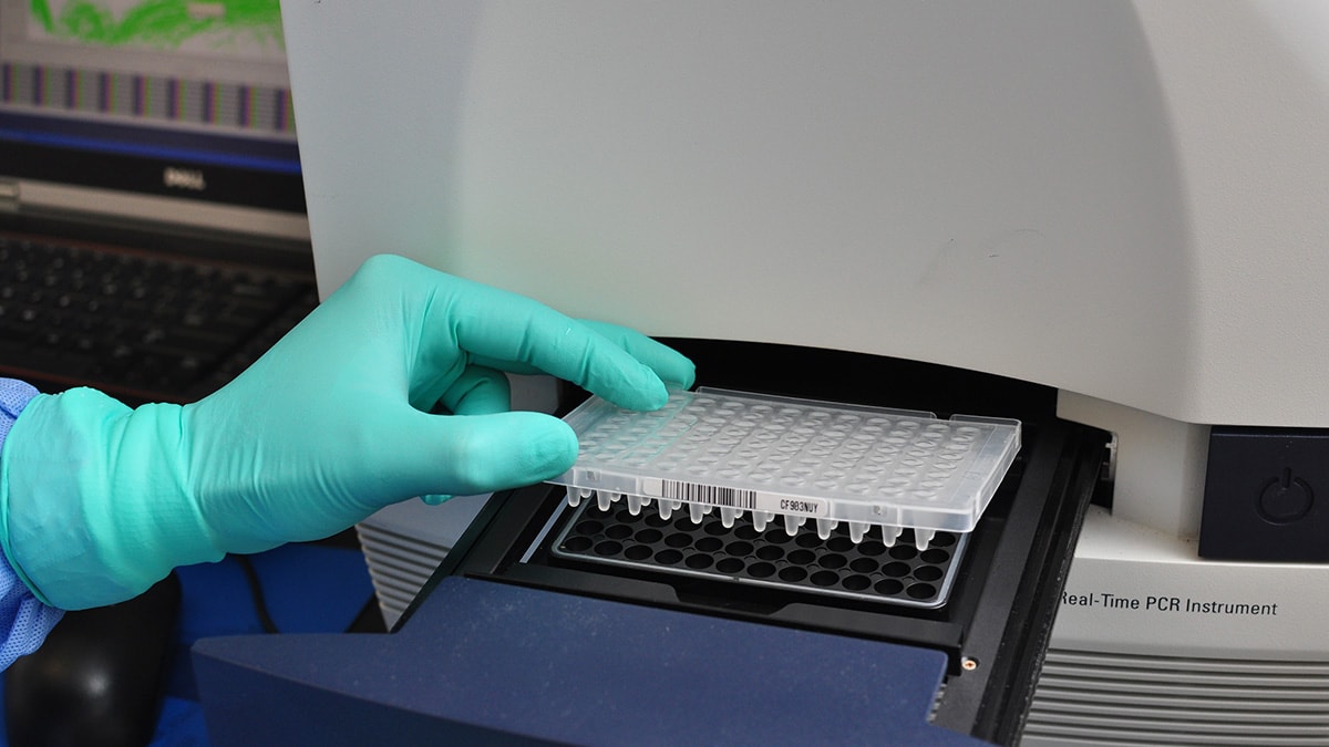 Real-time RT-PCR