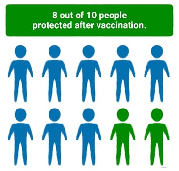 8 out of 10 people protected after vaccination.