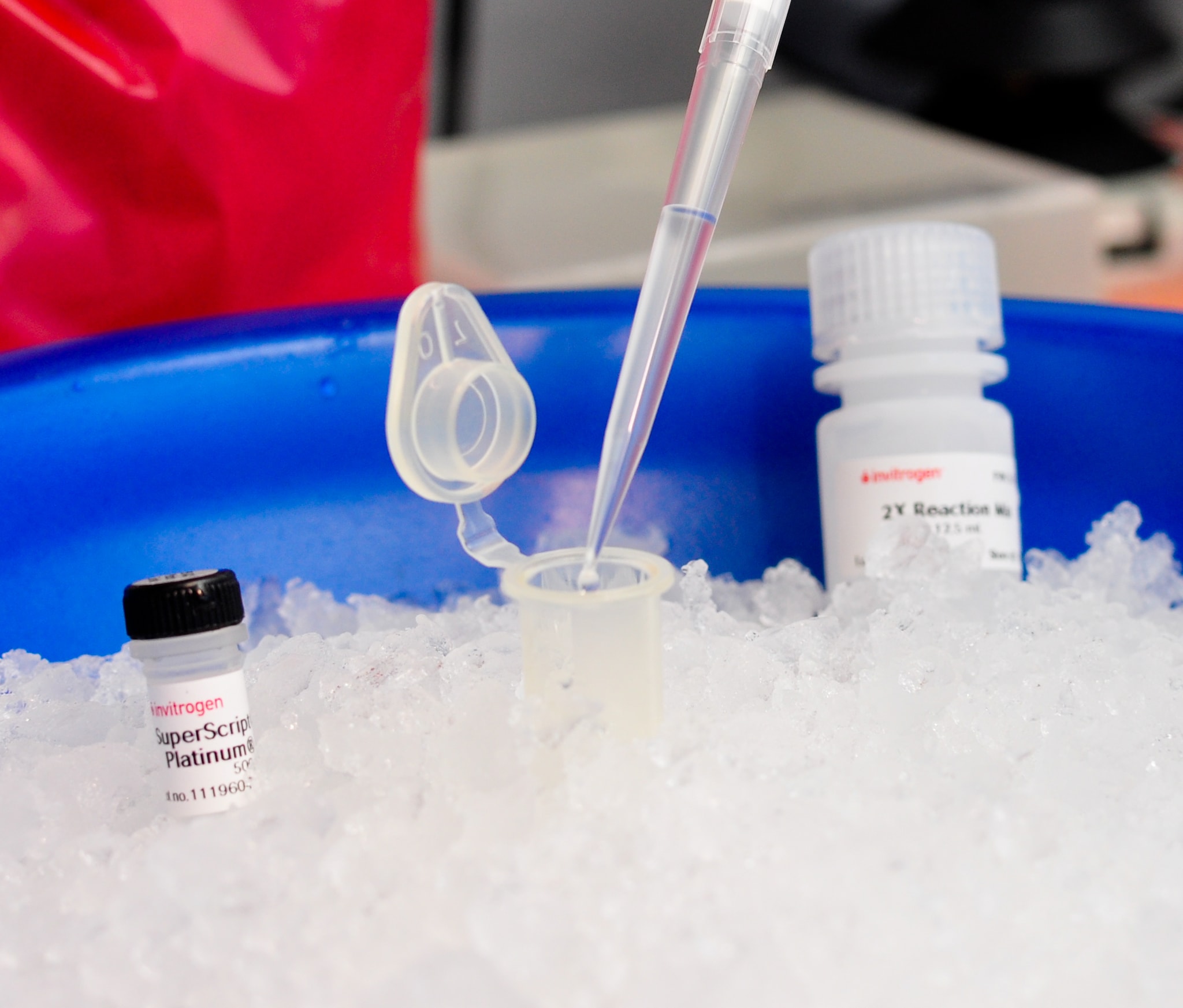 Three vials of testing solution sitting on ice with a pipette extracting liquid from the one in the center.