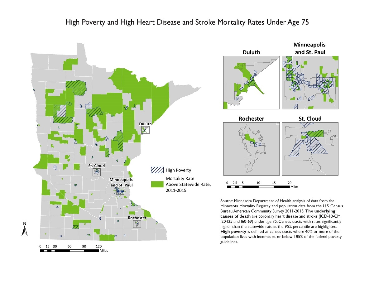 The graphic consists of a map of the entire state of Minnesota with census tracts that have heart disease and stroke mortality rates above the state average highlighted in green. Census tracts that have high poverty rates are indicated with cross-hatching, making it easy to see which tracts have both high poverty and high heart disease and stroke mortality rates. Four smaller inset maps focus on major population areas of Minnesota in closer detail.
