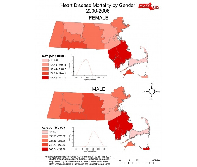 Heart Disease Mortality by Gender