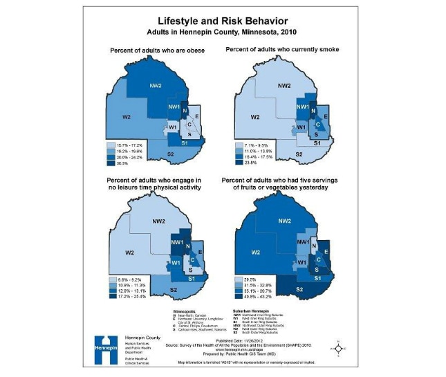 Lifestyle and risk behavior, adults in Hennepin County, Minnesota, 2010