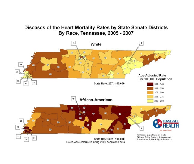 Diseases of the Heart Mortality Rate by Senate District, Tennessee 2005-2007