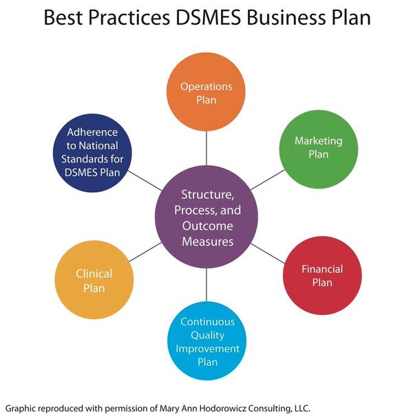 Best Practices DSMES Business Plan