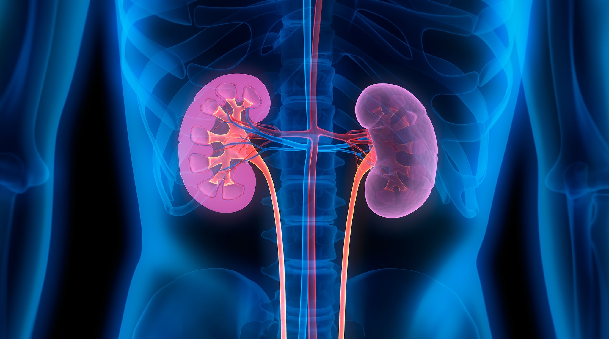 Kidney Failure and Diabetes | CDC