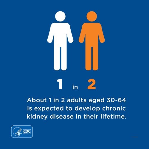 Infocard image with this text: About 1 of 2 adults aged 30-64 is expected to develop chronic kidney disease in their lifetime.