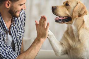 Un foto de hombre y perro tocando la mano y la pata