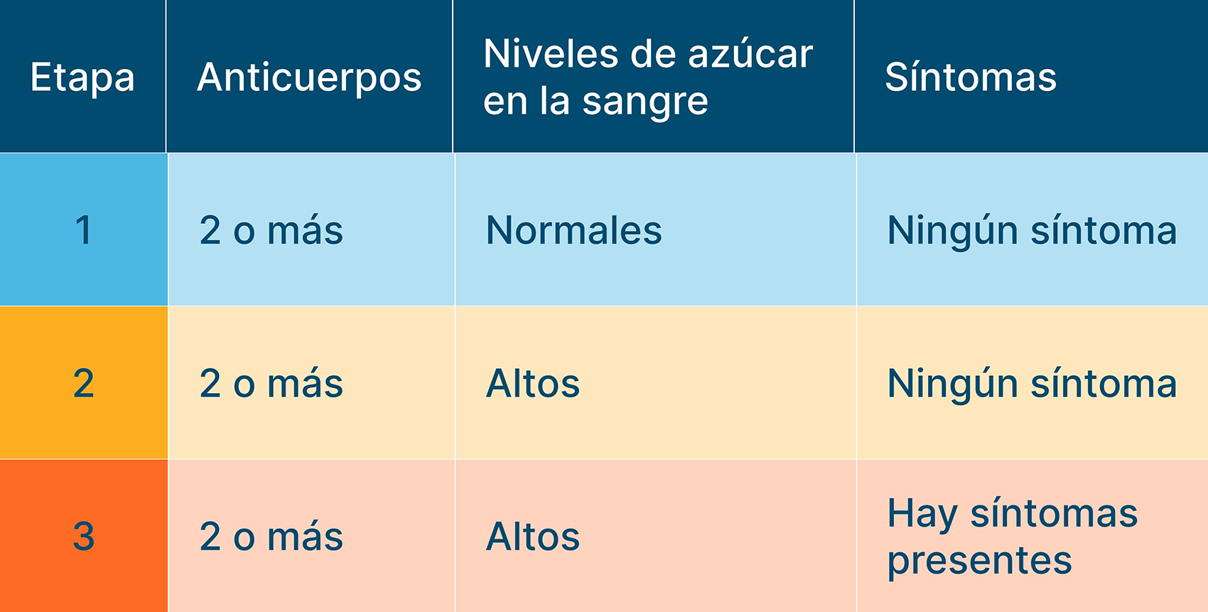 Etapas de la diabetes tipo 1.
