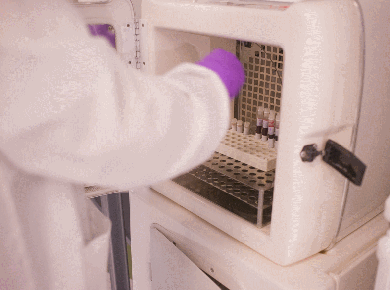 blood samples in lab