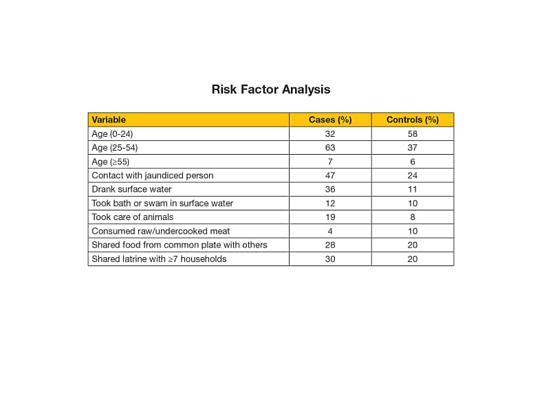 A table comparing risk factors for cases and controls. The results show that adults between 25-54 years old were more likely to get sick. Other interesting results include cases were more likely to have contact with other sick people, take care of animals, or share latrines.  Age (0-24), 32 percent of cases, 58 percent of controls.  Age (25-54), 63 percent of cases, 37 percent of controls.  Age (over 55), 7 percent of cases, 6 percent of controls.  Contact with a jaundiced person, 47 percent of cases, 24 percent of controls.  Drank surface water, 36 percent of cases, 11 percent of controls.  Took a bath or swam in surface water, 12 percent of cases, 10 percent of controls. Took care of animals, 19 percent of cases, 8 percent of controls.  Consumed raw/undercooked meat, 4 percent of cases, 10 percent of controls.  Shared food from a common plate with others, 28 percent of cases, 20 percent of controls. Shared latrine with more than 7 households, 30 percent of cases, 20 percent of controls.