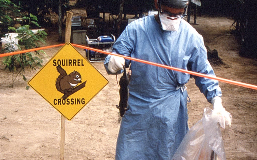 Giant Gambian rats are thought to have been responsible for other monkeypox outbreaks.  This image is of an Epidemic Intelligence Service (EIS) officer investigating an outbreak of monkeypox in Africa in 1996-1997.