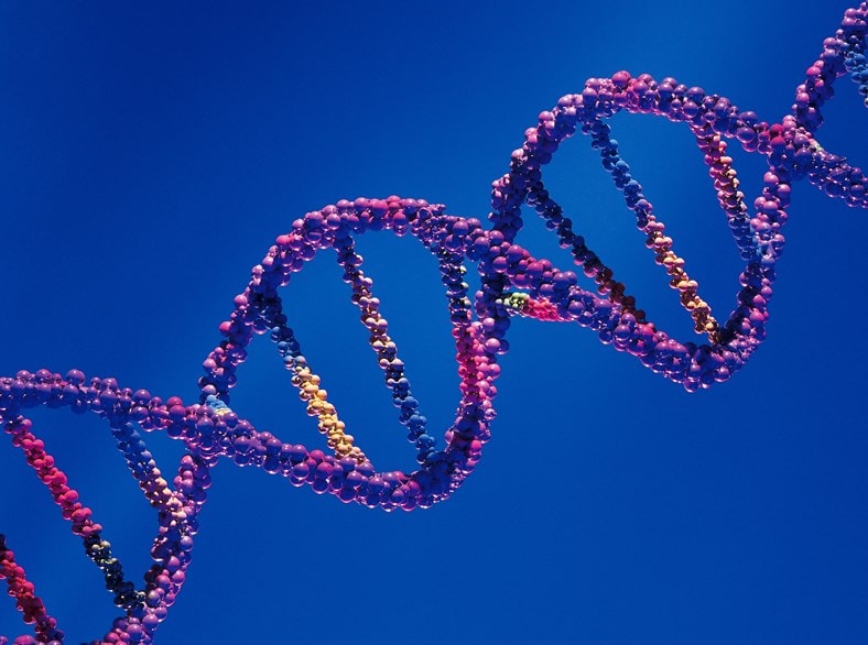 This is a computerized image of a DNA molecule.
