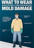 cover of infographic - What to Wear before entering a Home or Building with Mold Damage