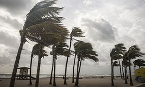 Heavy winds blow palm trees on a beach with large waves and stormy skies.