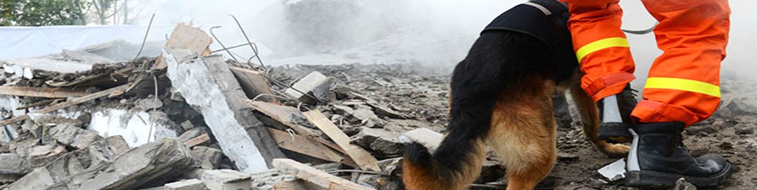 A German Shepherd and his handler searching through piles of debris after a disaster