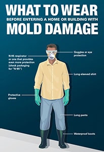 Does Homeowners Insurance Cover Mold