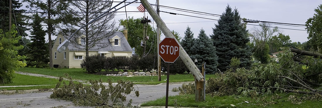 A neighborhood street with downed powerlines and fallen trees