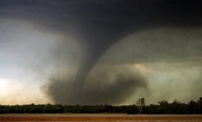 Un gran tornado abre un camino a través de un bosque y arroja escombros al aire.