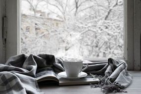 A book, a grey and white scarf, and white mug full of a steamy, hot drink are placed on a table facing a window that is showing a snowy landscape outside.