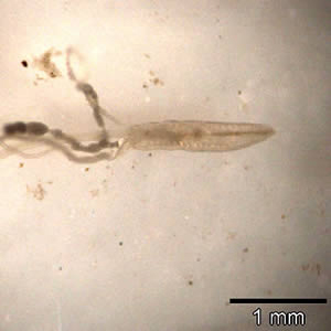 March - 2005 - Case #151