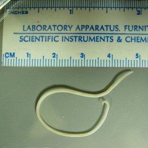 January - 2008 - Case #220