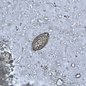 Case235_D.jpg Case235_D