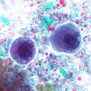 Case280_D.jpg Case280_D