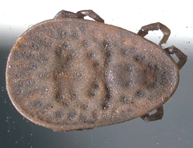 July - 2011 - Case #304