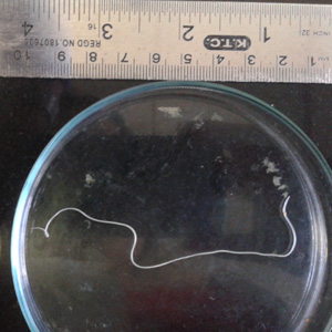 January - 2016 - Case #412