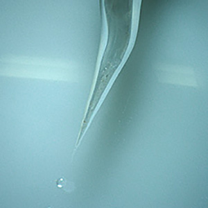 OLYMPUS DIGITAL CAMERA Parasitic image