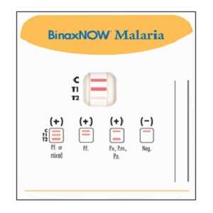 Case460_A parasitic image