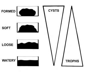 CDC - DPDx - Diagnostic Procedures - Stool Specimens