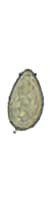 Clonorchis sinensis egg
