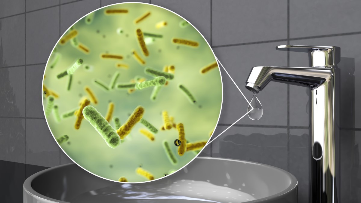 Pathogens In Water Pollution Germs That Can Contaminate Tap Water | Drinking Water | CDC