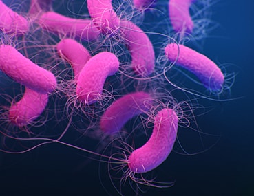 Medical illustration of multidrug-resistant Pseudomonas aeruginosa from CDC’s 2019 AR Threats Report. P. aeruginosa infections can be particularly dangerous for patients with chronic lung diseases.