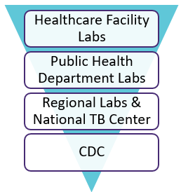 The AR Lab Network process enhances collaboration between healthcare facility labs, public health department labs, regional labs and the National TB Center, and CDC for a more rapid response to detect resistance.