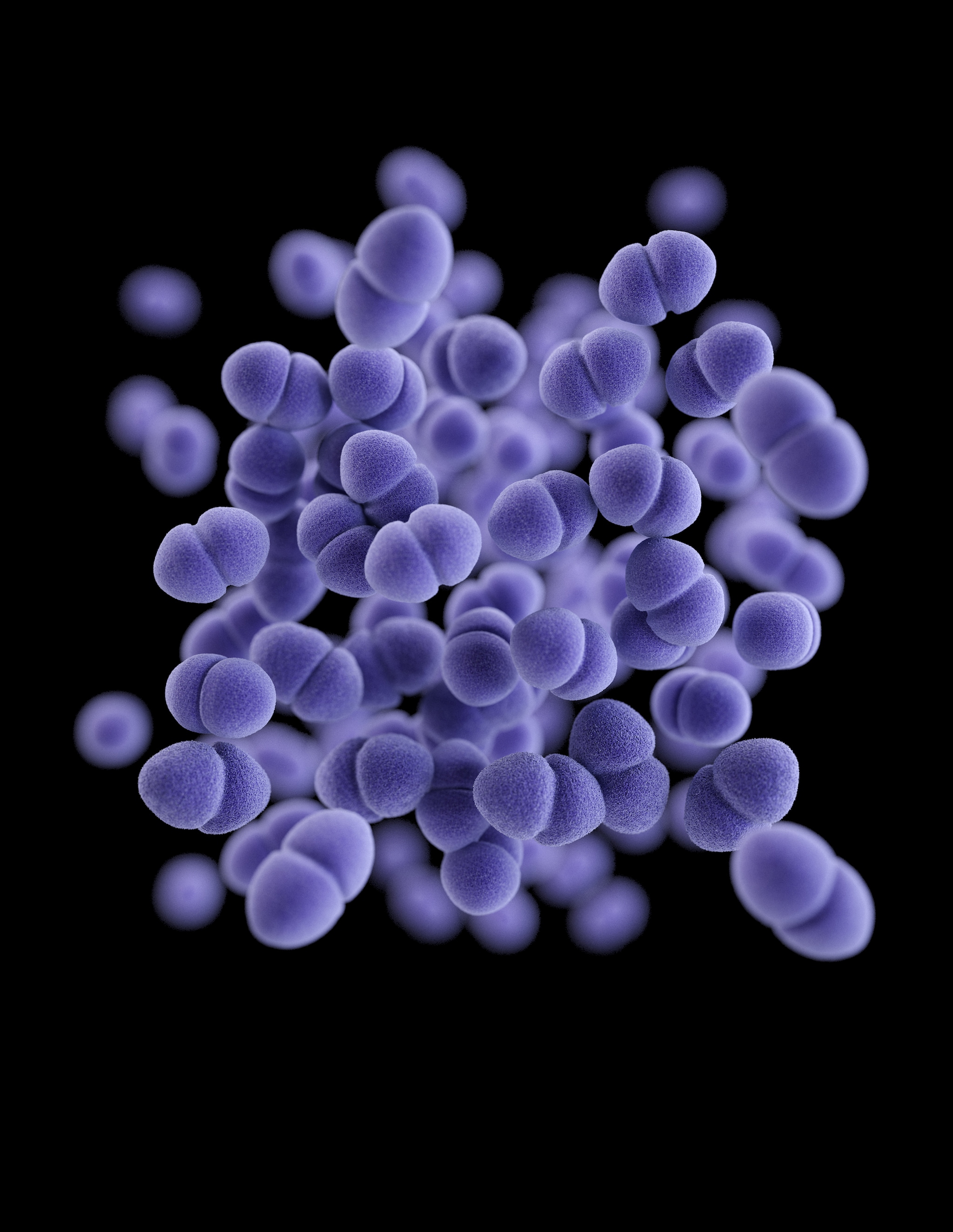 Medical illustration of Vancomycin-resistant Enterococcus (VRE)