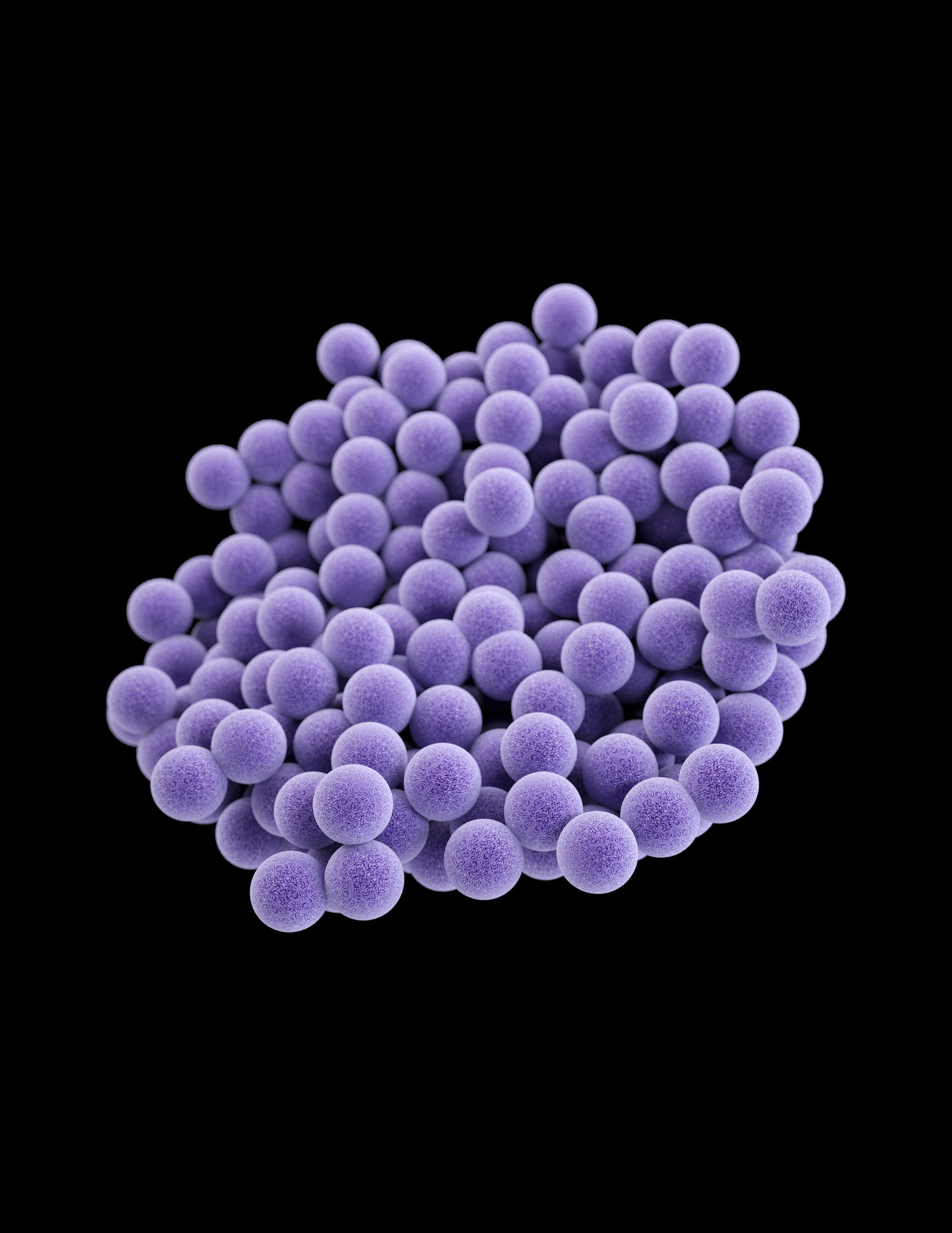 Medical illustration of methicillin-resistant Staphylococcus aureus (MRSA)