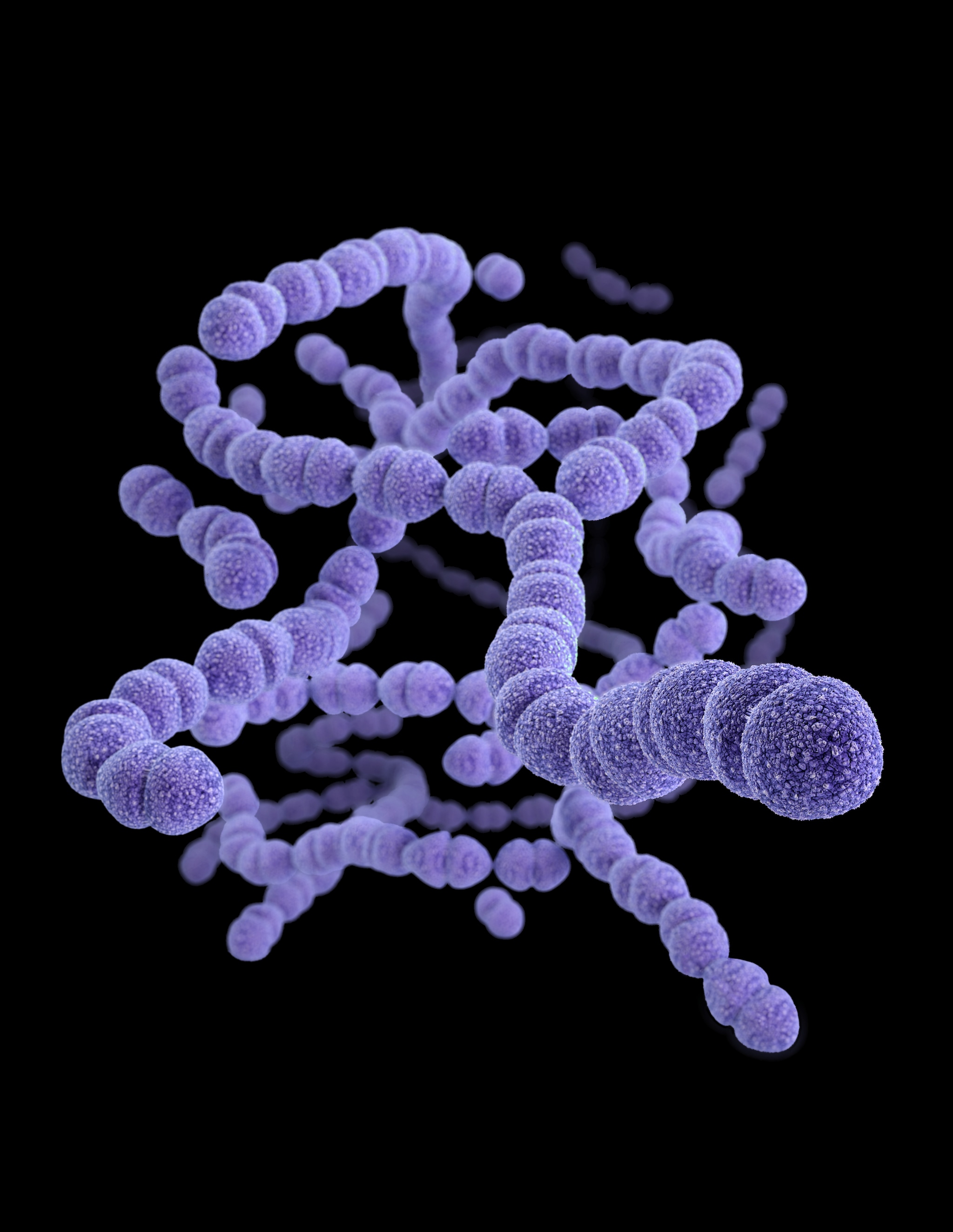 Medical illustration of drug-resistant Streptococcus pneumoniae