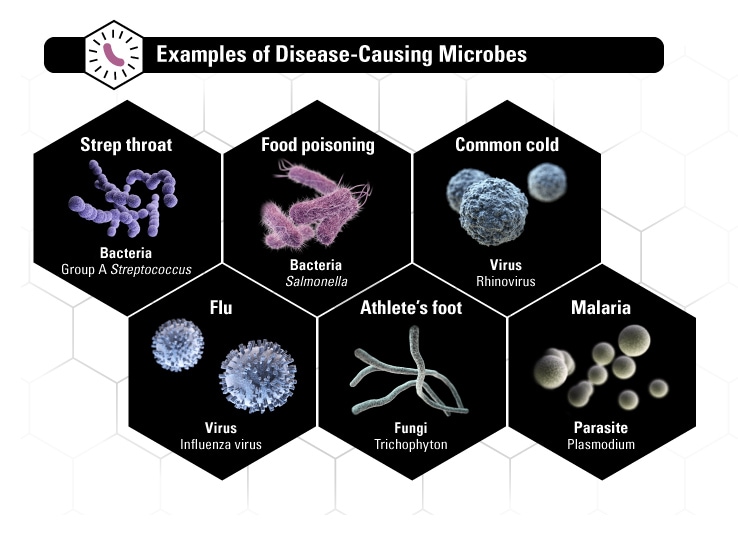 Exemplos de imagem de micróbios causadores de doença