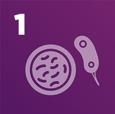 5-things-fact-1 purple icon