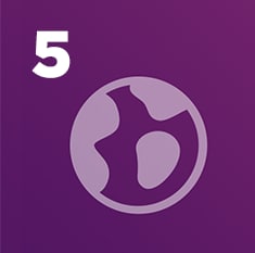 5-things-fact-5 purple icon