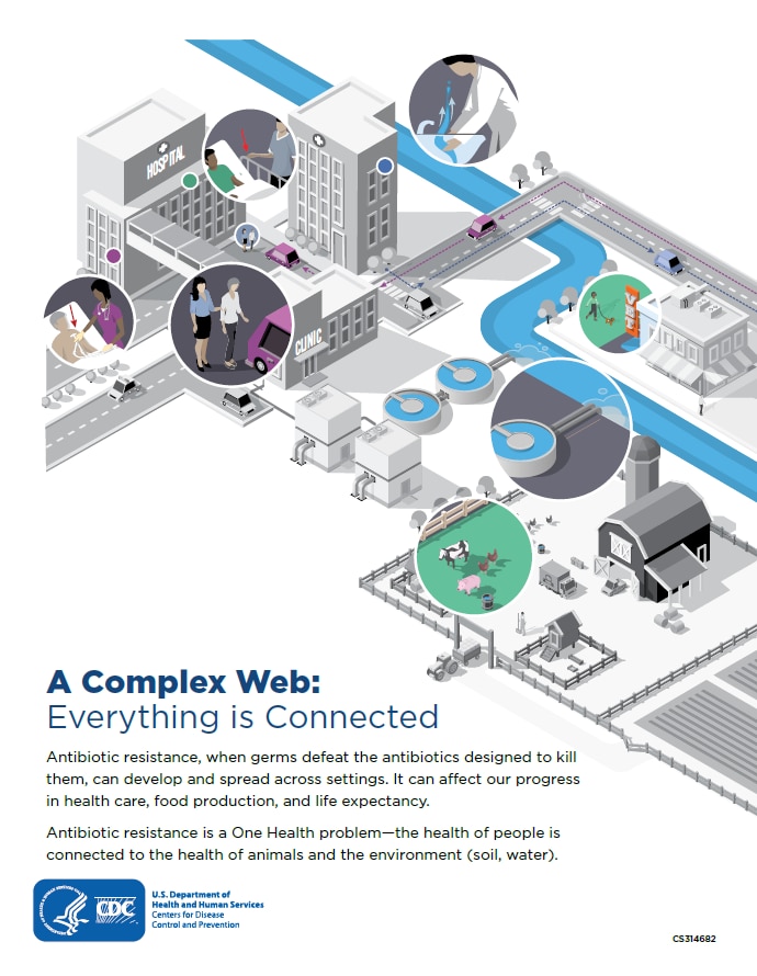 A Complex Web: Everything is Connected