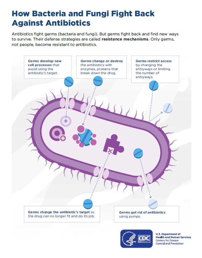 How Bactertia and Fungi Fight back Against Antibiotics