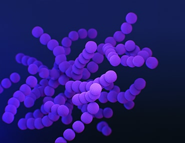 Medical illustration of clindamycin-resistant Group B Streptococcus